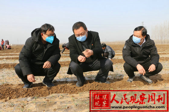 ������ɽ�����ڴ����紺������æ