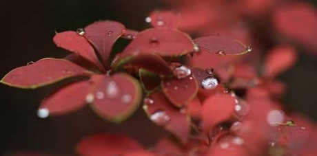 ���ߵ�ʱ�򡭡�