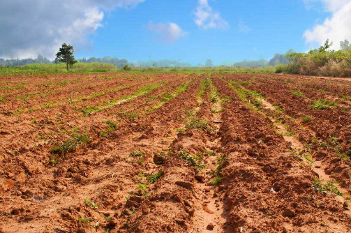 ��ī�ؿ��Ż�����