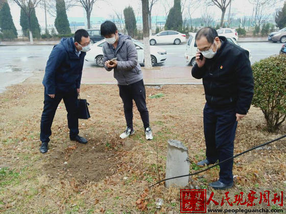 ƽ�ȳ��й������ϸ�����㡰�廨���򡱴����������