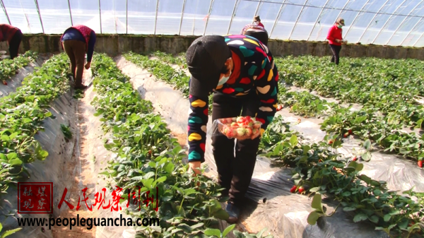 ������������ũ�񴺸�����