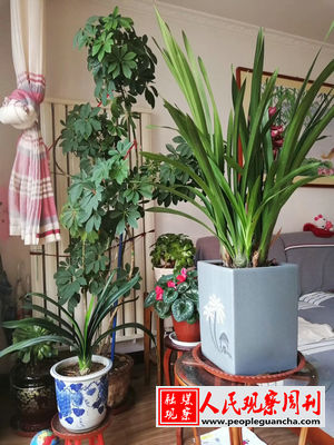 ����������ʮ���꣨���ϣ�