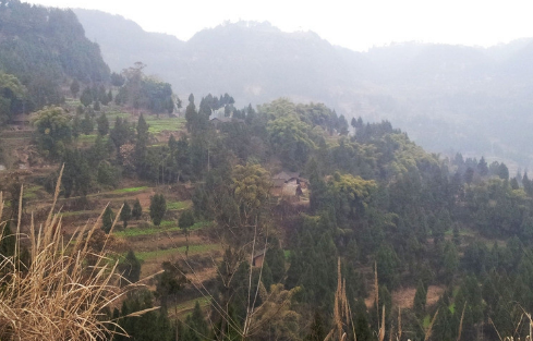 �������ԭ�ϵ���������ͷ�ٴ��������