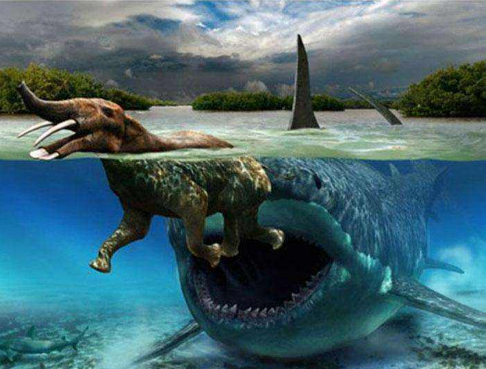 ��ɽ��̸ַ����ѡַ������