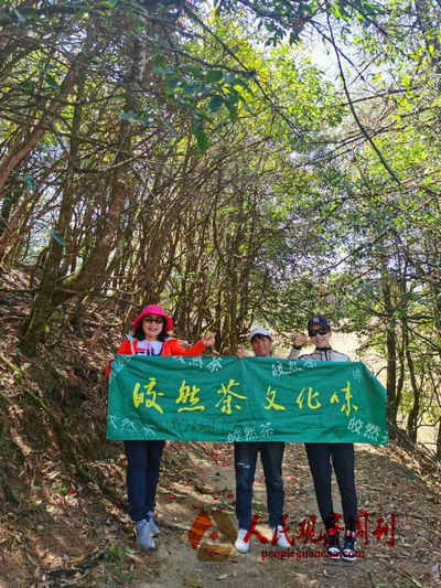 皎然茶-来自苍茫大山青翠的灵魂“舞者”
