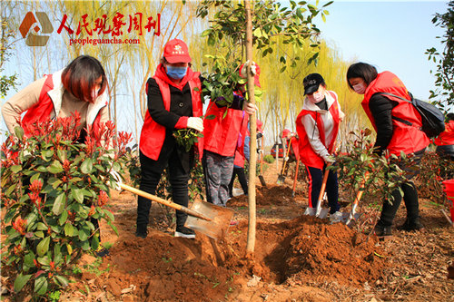 ��Լ������ ��ֲһƬ��