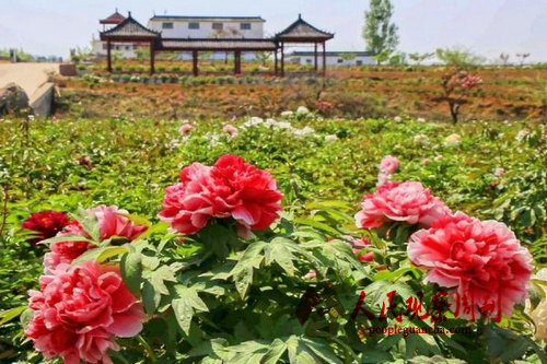 ����:ʮ������ĵ�����޿���ӭ����