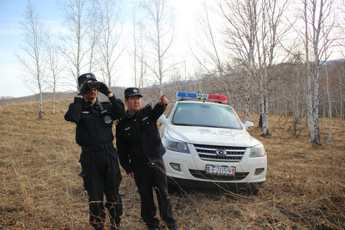 һ�����ң�ͼ���ɭ�ֹ������ж�