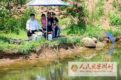 �����⵼�Ρ�Ϊ��������