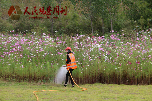 ϲӭ��ɽ����������̳�͹��ʿ����Ļ��� ����������ׯ��ͥ�˾ӻ���