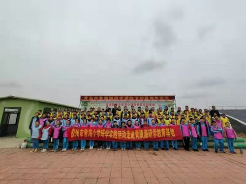 ���ݣ�������ѧ����ѧ���ɳ�