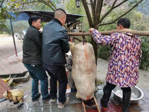 �����ƽ������徰����սɽ��չ���˽�ɱ��������λ