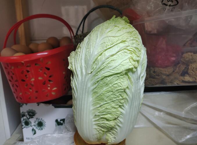 ���ޣ���80�󡱿��ߡ����޵�����һʱ�䱨����־Ը��