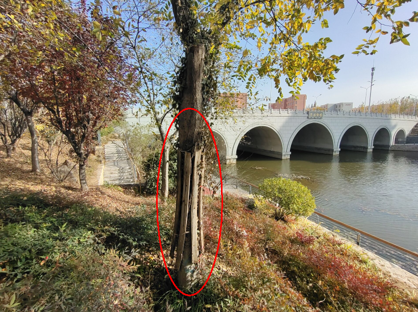 ���뵺��ի�������Ǿ�������ʲô��������䡯��ī����������������