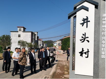 �̰�����ͨ�����ΪȺ�ڴ�̨���ƹ�ı����