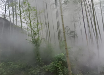 �������ֳ���벢�ٴ����ȷ��ιؼ�ս