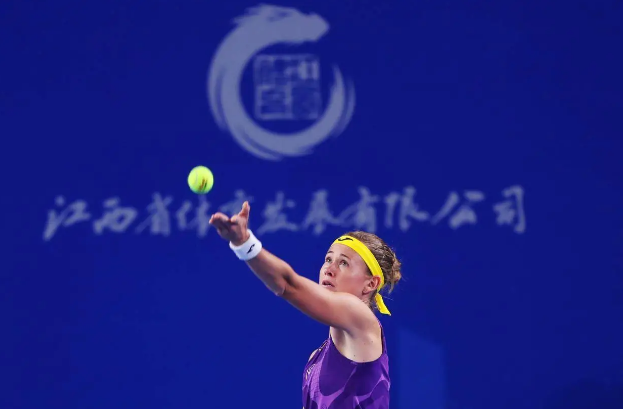 2024WTA򹫿ʽ