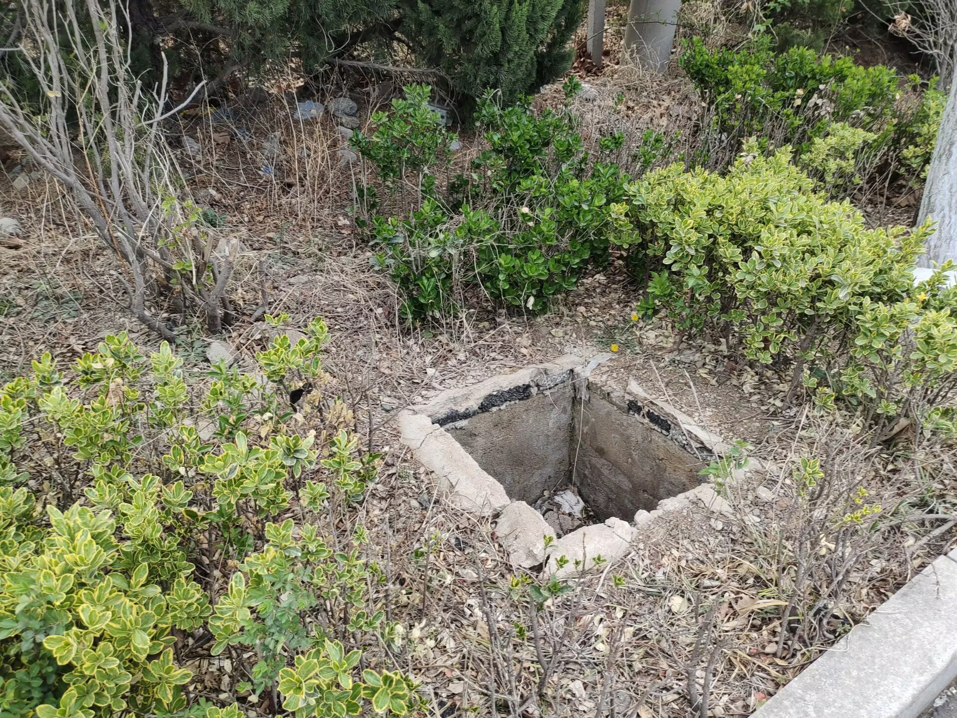 ��ī��ɽ��ҵ԰����ˮ������Ī��ȱʧ��