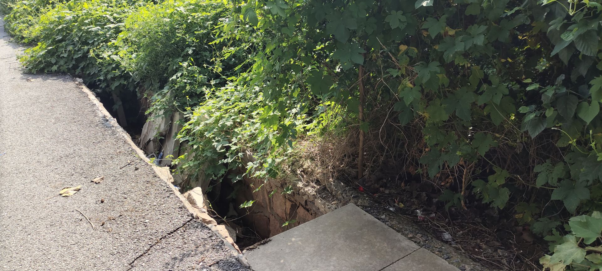 �ൺ�����ʡ����̬���ζȼ���ԭ����ίίԱ������ίԱ����̬���ξ־ֳ�����������Υ��Υ�������������͹�ְ